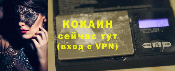 сатива Дмитровск