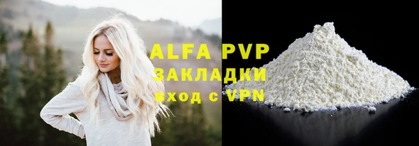 сатива Дмитровск