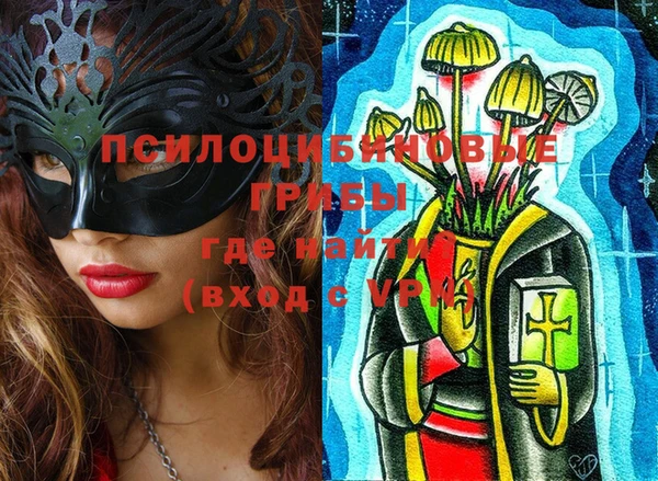 кокс Дмитров