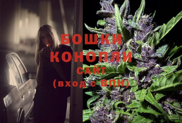 кокс Дмитров