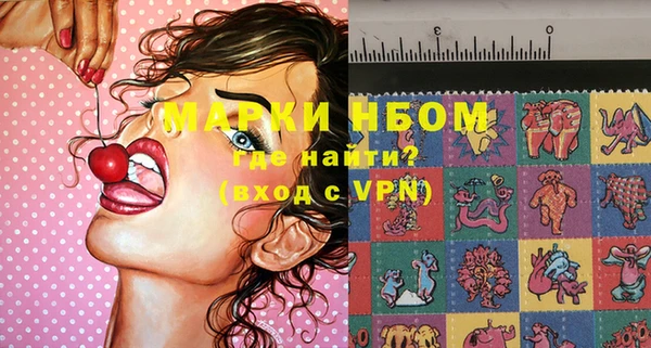 сатива Дмитровск