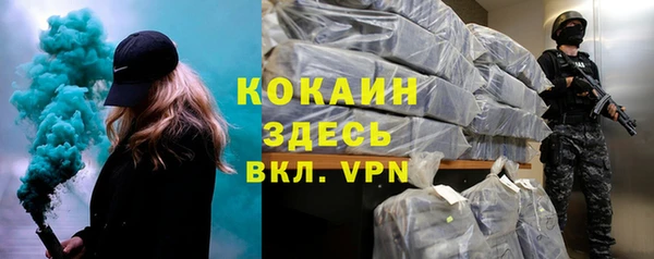 сатива Дмитровск