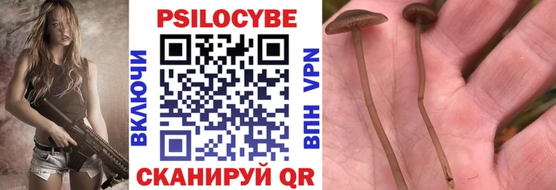 Галлюциногенные грибы GOLDEN TEACHER  Купить где  Покров 